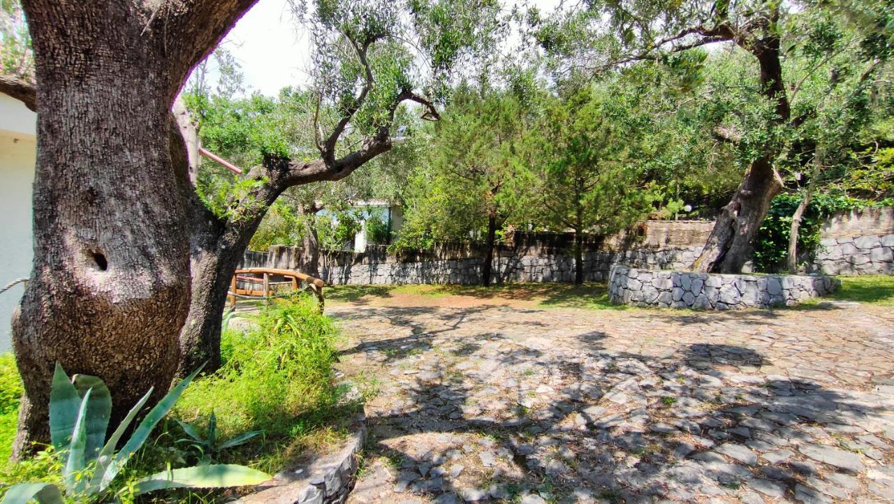Villa Irma Marina di Camerota Exteriér fotografie