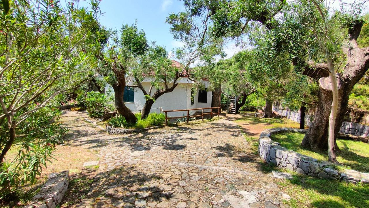 Villa Irma Marina di Camerota Exteriér fotografie