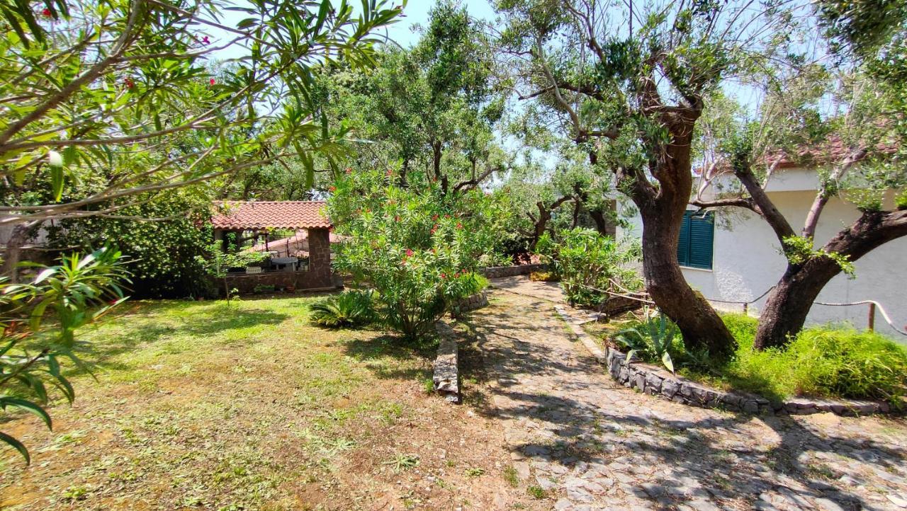 Villa Irma Marina di Camerota Exteriér fotografie
