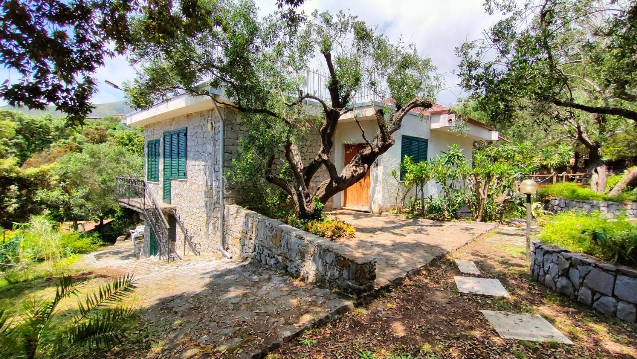 Villa Irma Marina di Camerota Exteriér fotografie