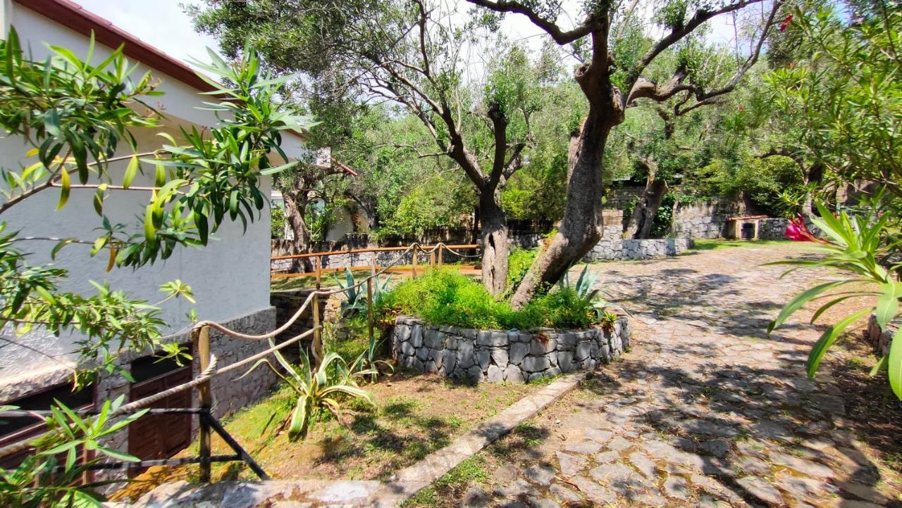 Villa Irma Marina di Camerota Exteriér fotografie
