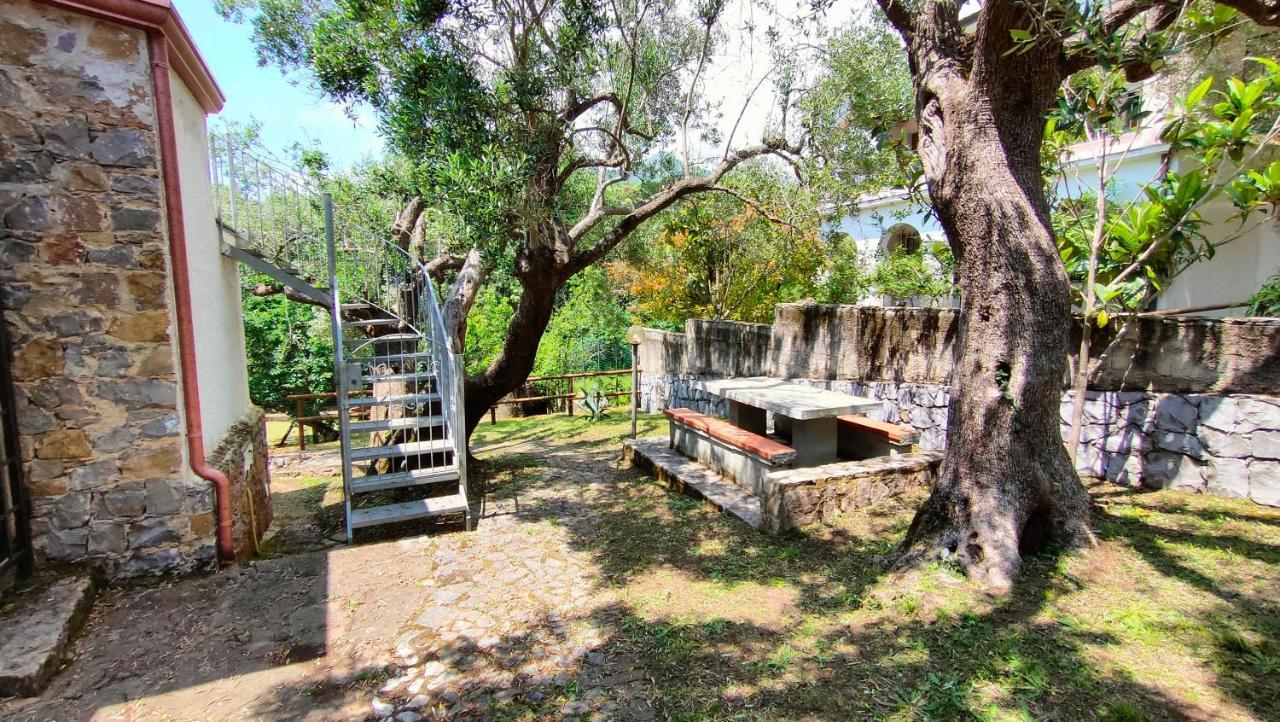 Villa Irma Marina di Camerota Exteriér fotografie
