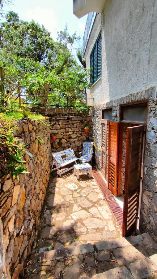 Villa Irma Marina di Camerota Exteriér fotografie